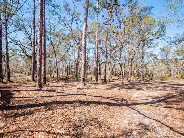 108 NE West Peppermint Trl, Pinetta, FL 32350