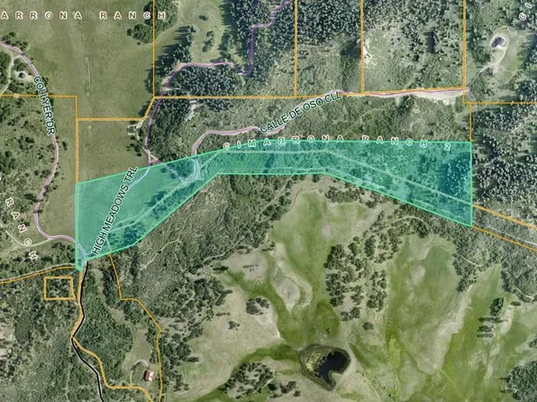 455 Calle De Oso, Pagosa Springs, CO 81147