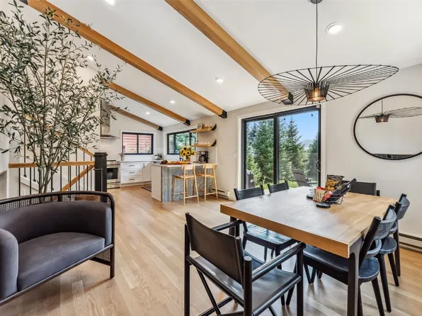 249 E Coyote Ct, Silverthorne, CO 80498