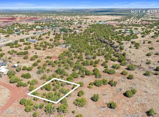 8798 Robbins Pl, Show Low, AZ 85901