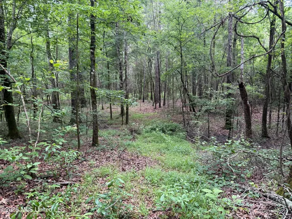 River Ridge Rd Lot 15, Terry, MS 39170