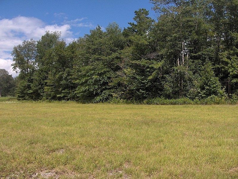 2nd image of 27A Covington Lake Dr