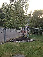 4th image of 14501 54th Dr NE