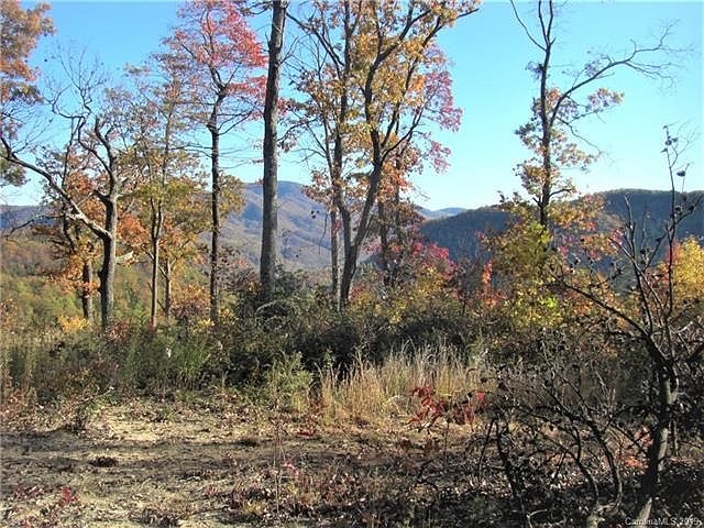 1st image of 0000 Old Place Bluff Dr