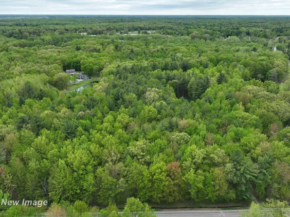 12000 W Townline Rd, Saint Charles, MI 48655