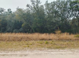 Castleberry Dr, Webster, FL 33597