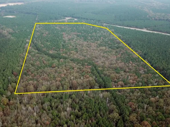 (undisclosed Address), Monticello, AR 71655