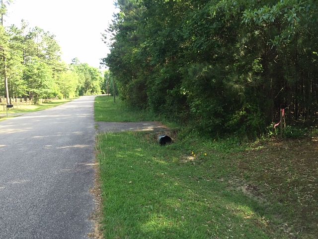 1st image of Woodland Dr