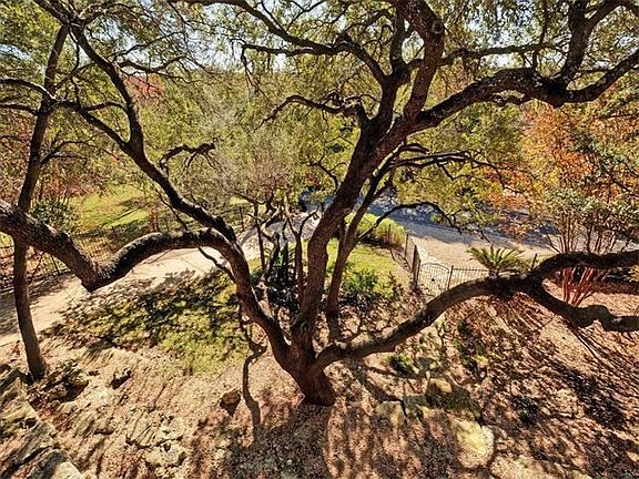 Beautiful mature oak trees inspired the design of this custom home and allow owners to "live amongst" the trees.
