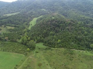 593 Clinch Valley Rd, Eidson, TN 37731