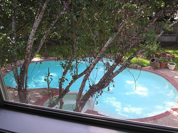 Pool from Game Room