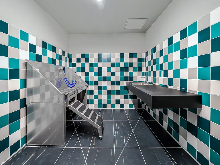AMLI Spring District — Photo 39