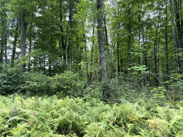 0 Sportsman Rd, Goodman, WI 54125