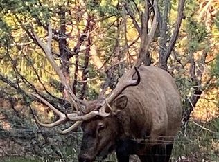 29 Spring Dr, High Rolls, NM 88325