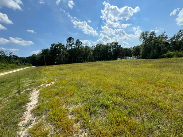 LOT 52 BROWER LANE, Sardis, GA 30456