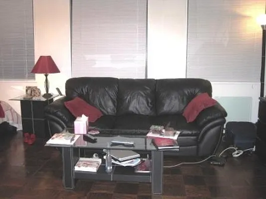 Rented by Citi Habitats | media 4