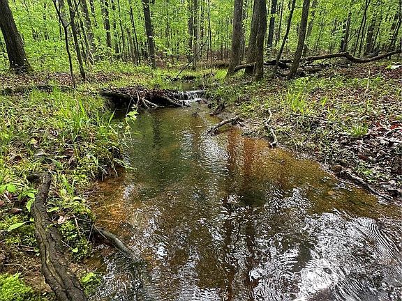 2nd image of 0 County Road 436