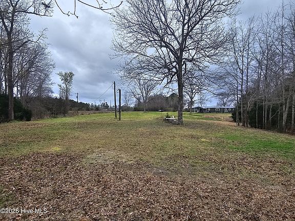 4th image of 251 Alligator Loop Road