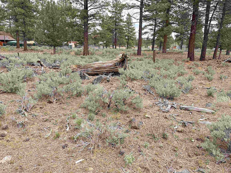 2nd image of 000-000 Juniper Way