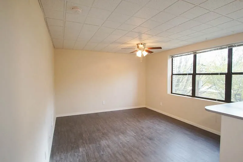 Second Floor Corner Studio in the Heart of NW w/ a Dishwasher & 1 Cat Welcome! — Photo 4