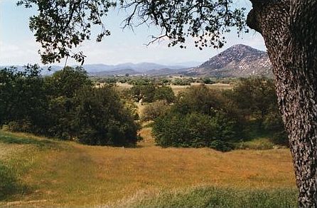 5 Acres - Best of Tenaja