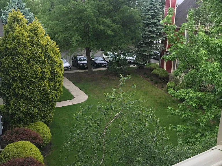Patio View 1
