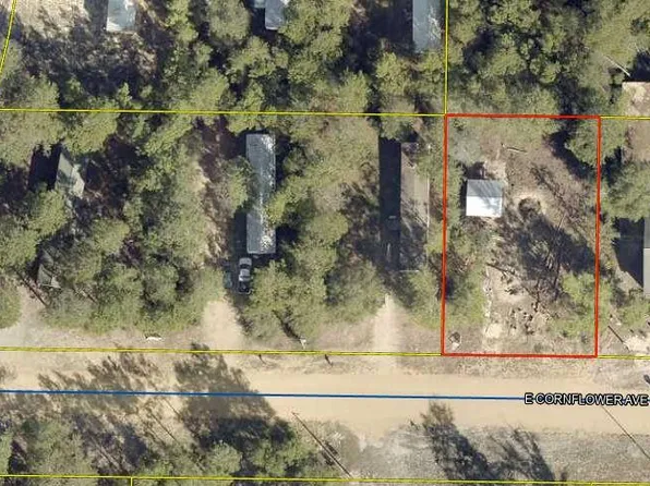 Cornflower Ave, Defuniak Springs, FL 32433