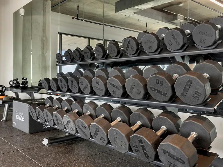 Every free weight you would need for building and toning