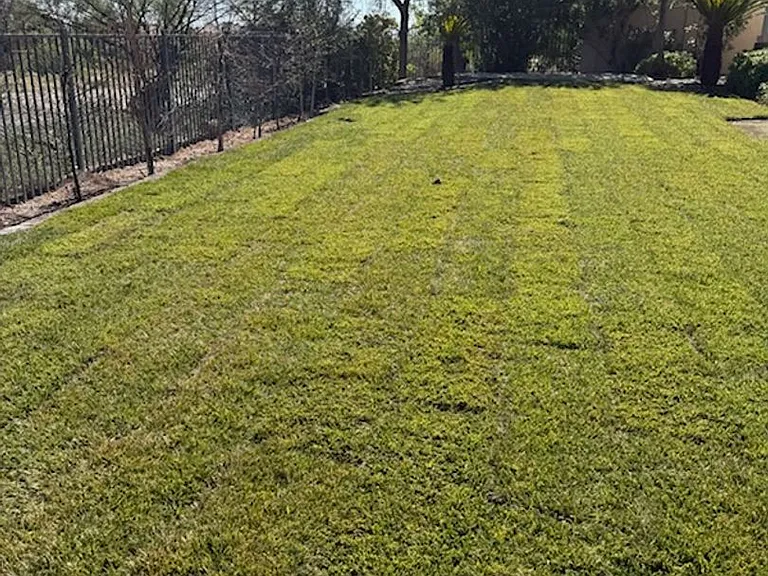 9800 Camden Hills Ave — Photo 27