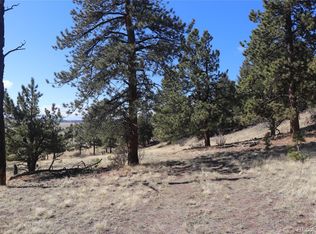 4727 Ranch Rd #615, Hartsel, CO 80449