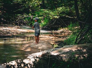 0 County Line Rd, Talbotton, GA 31827