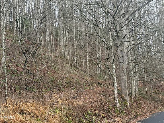 3rd image of Tbd Tiger Creek Rd