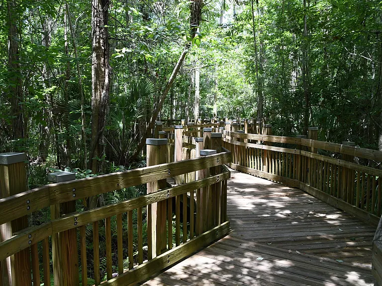 Nature trail