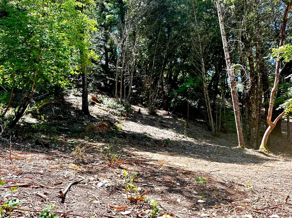 775 & 801 Forest View Dr, Willow Creek, CA 95573