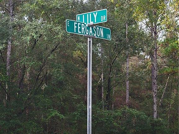 5th image of 9531 & 9549 N Lily Poin
