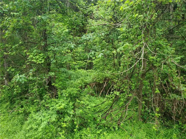0 Curtis Rd #61, Hemlock, NY 14466
