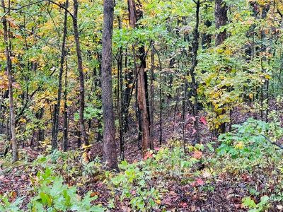 Runcorn Ln #5, Pea Ridge, AR, 72751