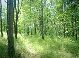 19 Mile Rd, Marion, MI 49665