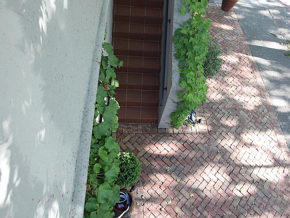 Front Stairs