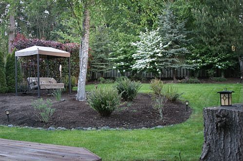Fenced, arbor-rich backyard