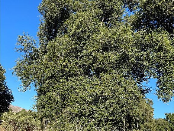 3rd image of 35250 Willow Creek Rd