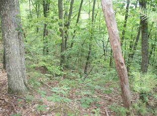 0 Cove Valley Way LOT 18, Cosby, TN 37722