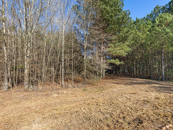 3rd image of 1816 Sterling Gibson Road