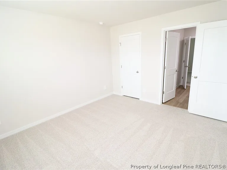 4129 Hazel Branch Way — Photo 38