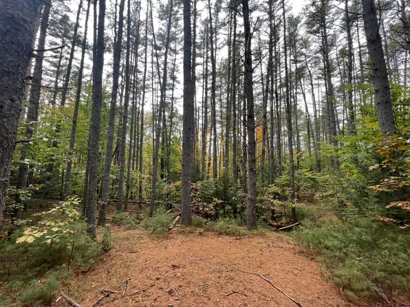 Lot 21-1 Wilderness Lane, Hiram, ME 04041