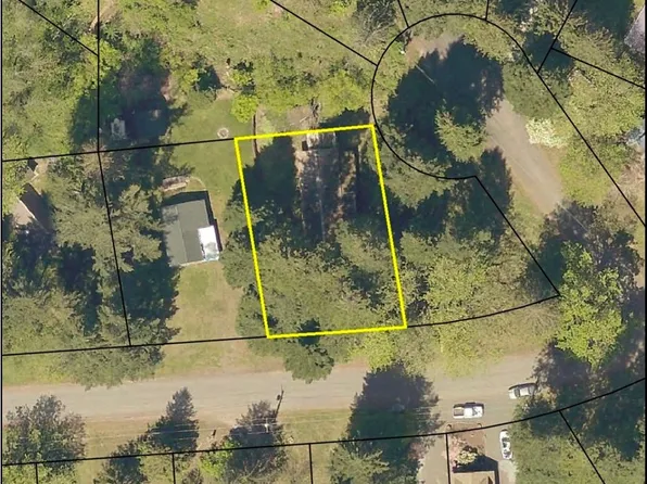 125 Slalom Way, Packwood, WA 98361