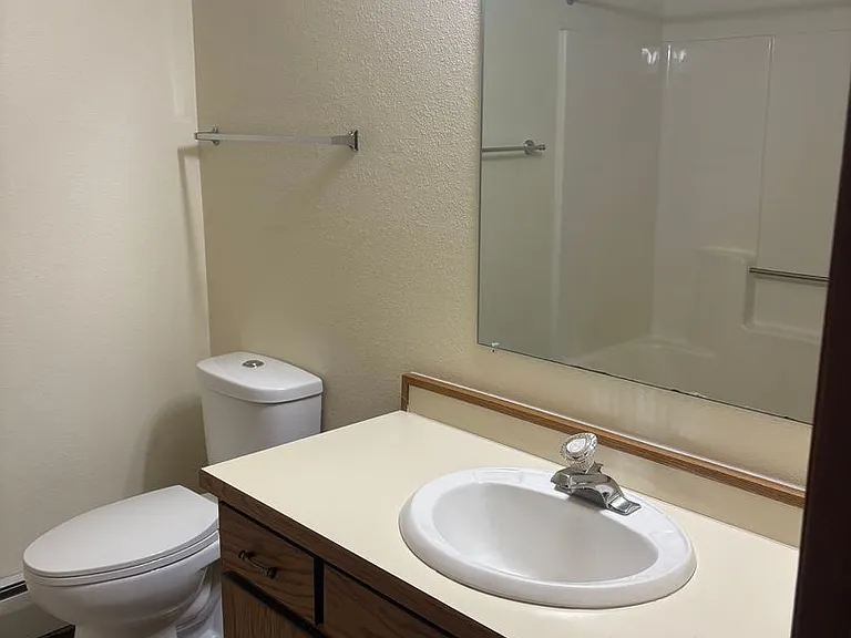 310 Dickinson Dr SE — Photo 5