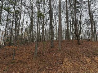 452 Joliet Dr, Ellijay, GA 30540