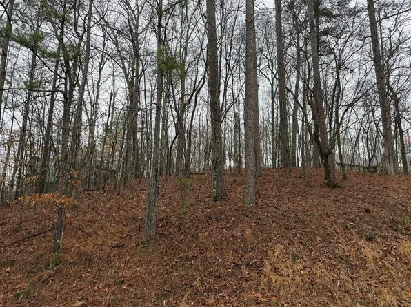 452 Joliet Dr, Ellijay, GA 30540