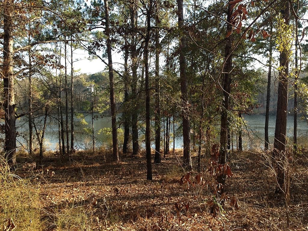 LOT 19 Estate Dr, Fort Gaines, GA 39851 Zillow